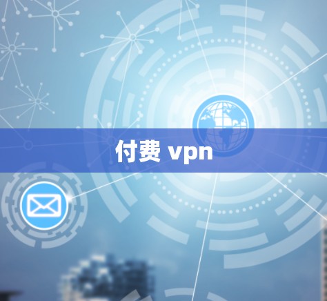 付费 vpn
