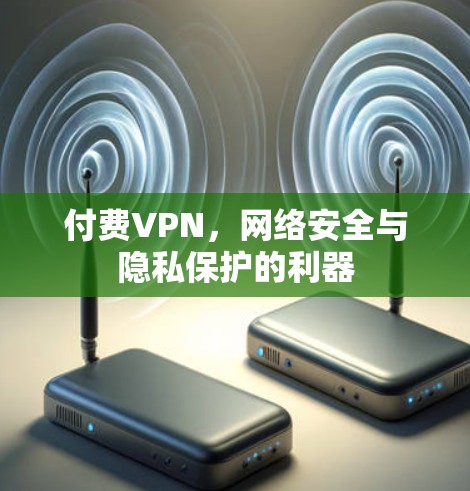 付费VPN，网络安全与隐私保护的利器