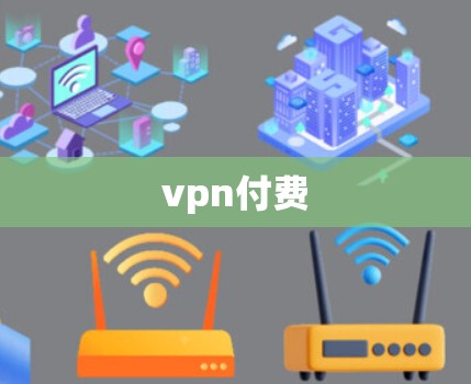 vpn付费