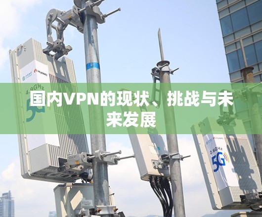 国内VPN的现状、挑战与未来发展